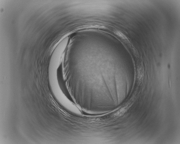 X0000053051369200508081118