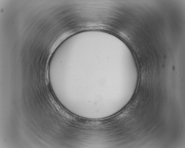 X0000053051370200508081118