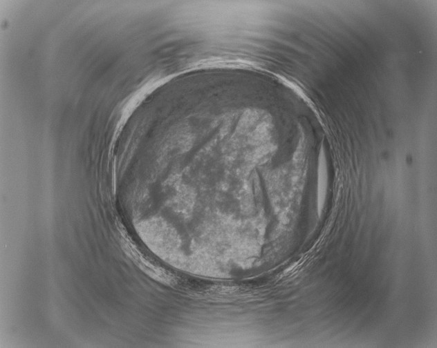 X0000053051371200508081118