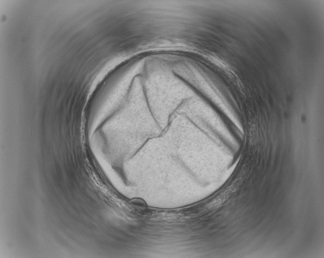 X0000053051374200508081118