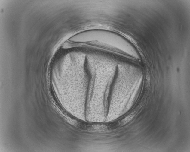 X0000053051375200508081118