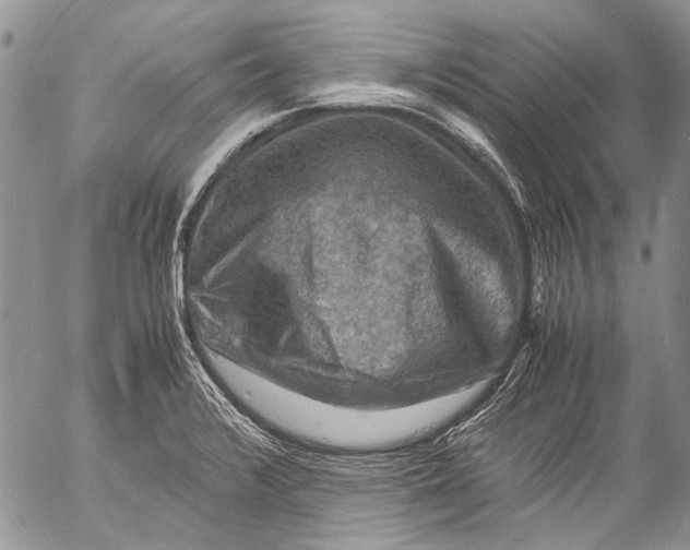 X0000053051376200508081118