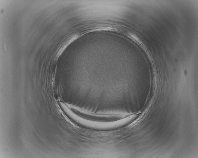 X0000053051377200508081118