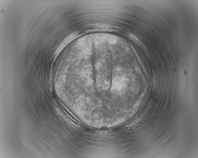 X0000053051378200508081117