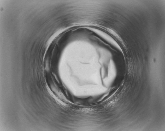 X0000053051380200508081117