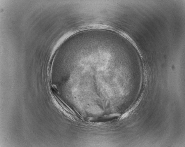 X0000053051381200508081117