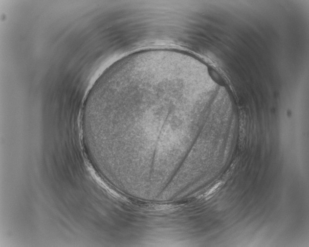 X0000053051382200508081117