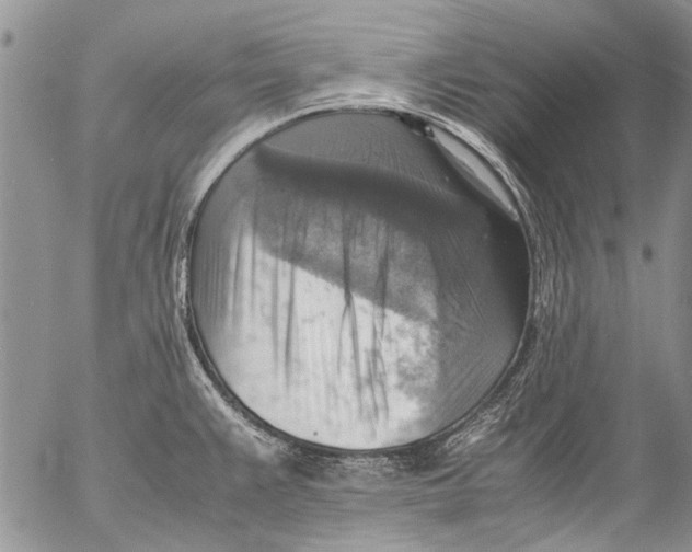 X0000053051383200508081117