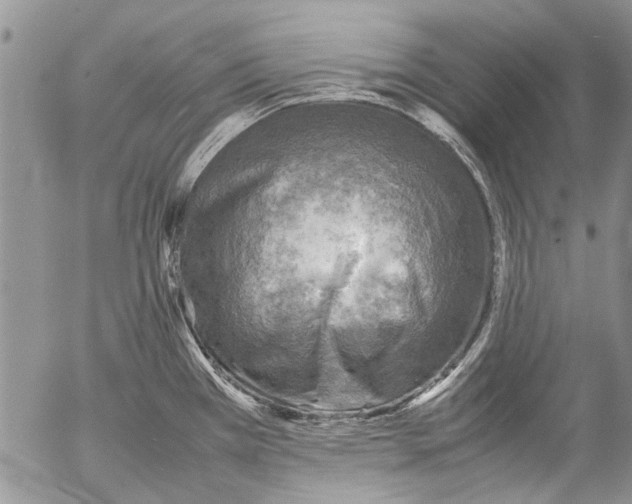 X0000053051385200508081117