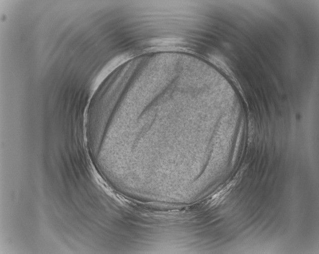 X0000053051386200508081117