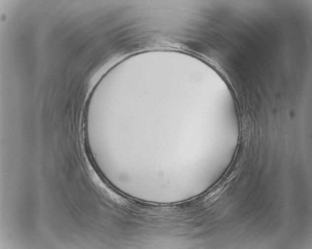 X0000053051387200508081117