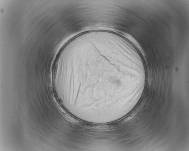 X0000053051388200508081117