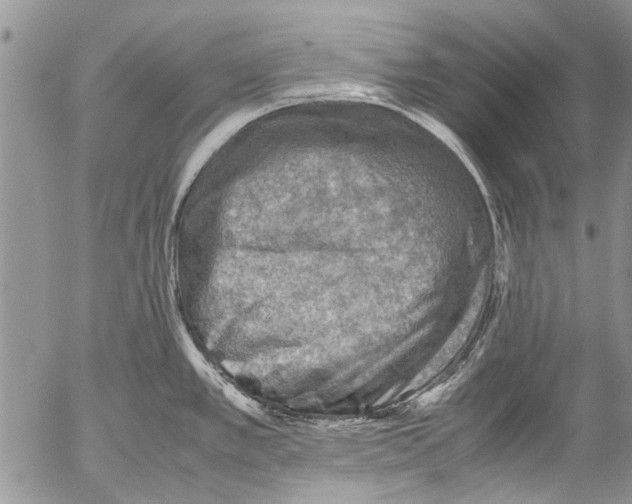 X0000053051389200508081117