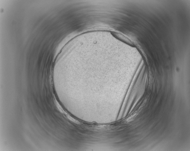 X0000053051390200508081117