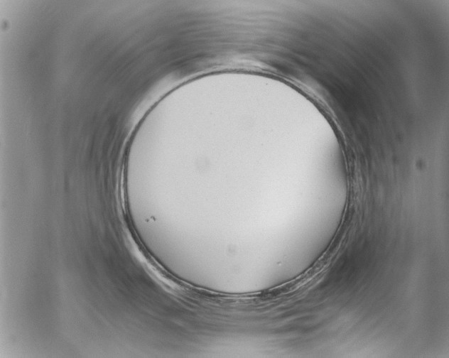 X0000053051391200508081117