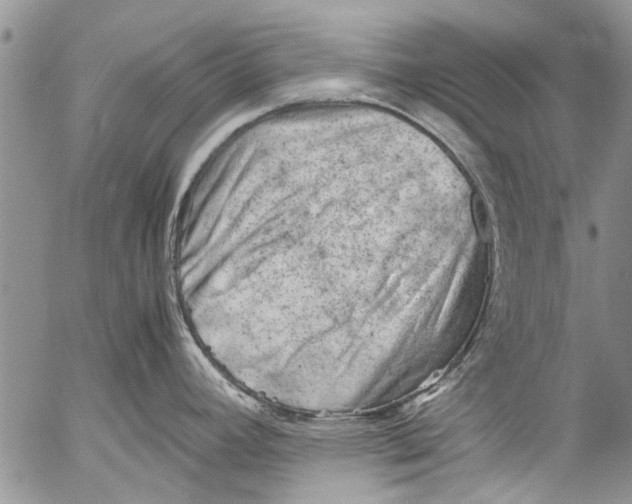 X0000053051392200508081117