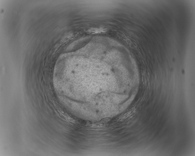 X0000053051393200508081116