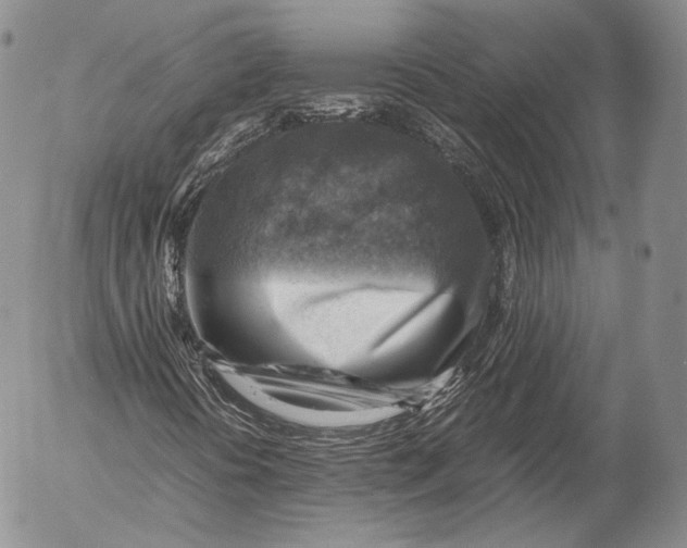 X0000053051394200508081116