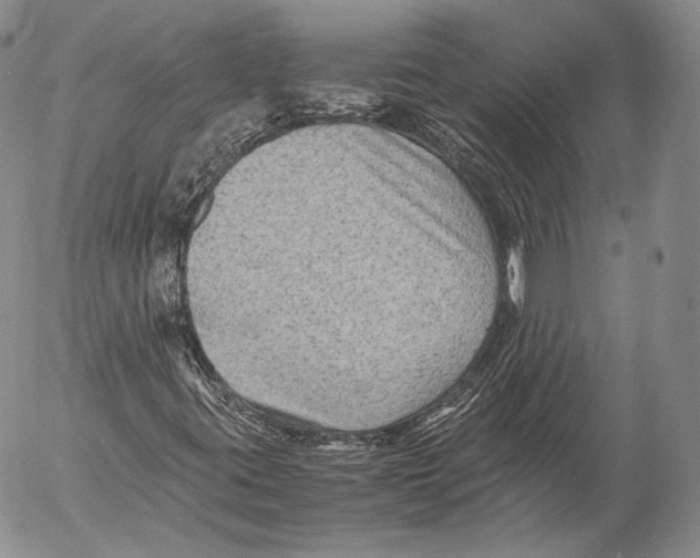 X0000053051395200508081117