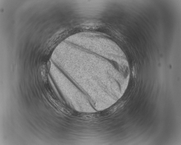 X0000053051396200508081117