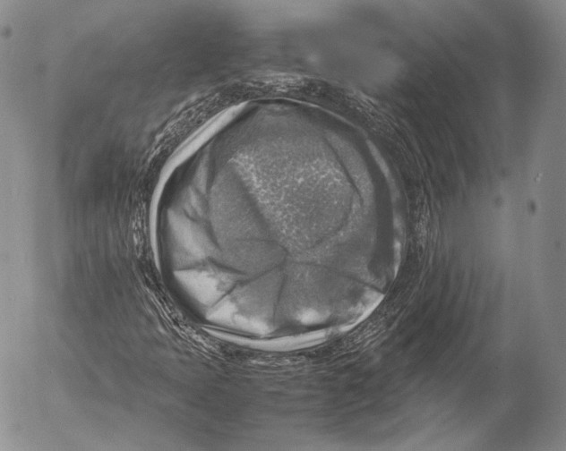 X0000053051397200508081117