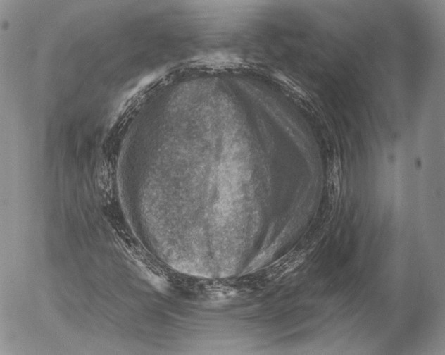 X0000053051398200508081117