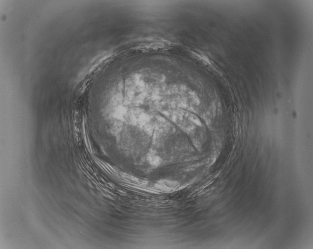 X0000053051399200508081117