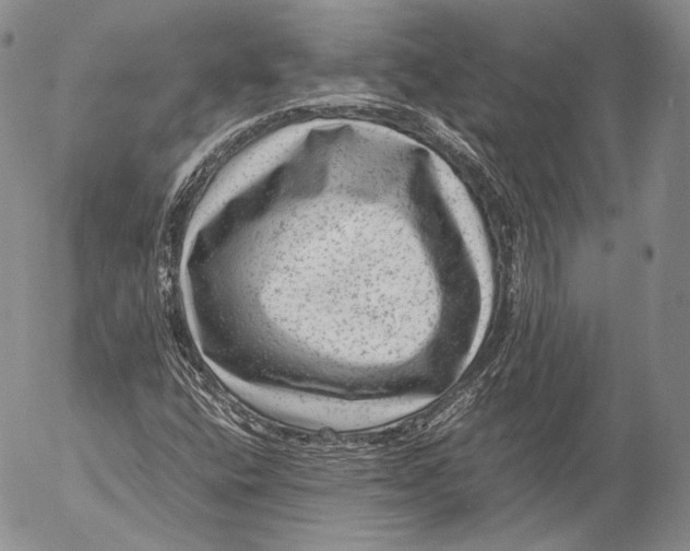 X0000053051400200508081117