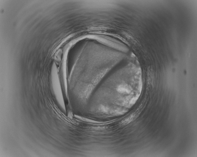 X0000053051401200508081117