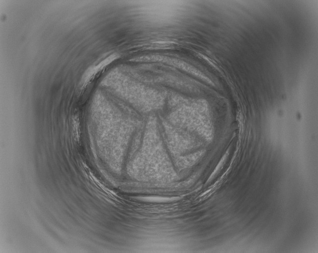 X0000053051402200508081117