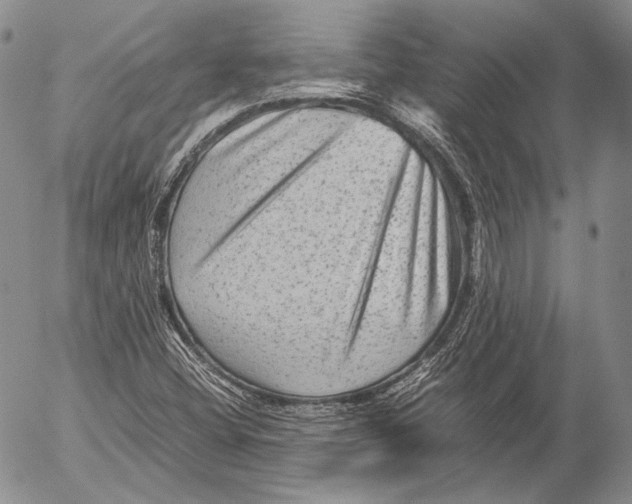 X0000053051404200508081117