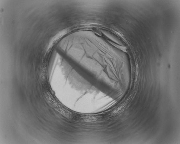 X0000053051405200508081117