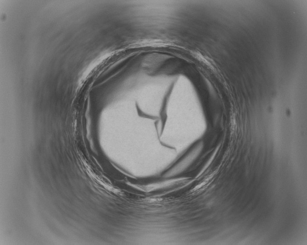 X0000053051406200508081117