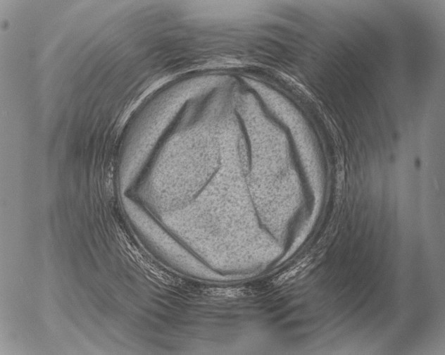 X0000053051409200508081117