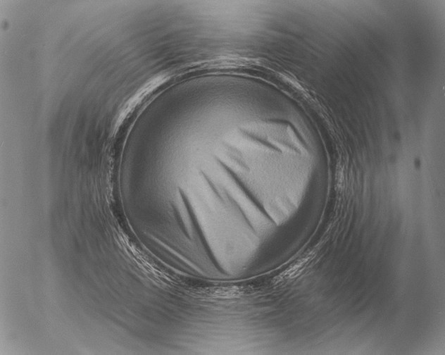 X0000053051410200508081117