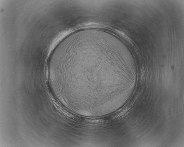 X0000053051413200508081117