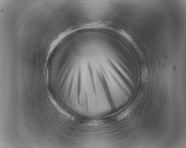 X0000053051414200508081117