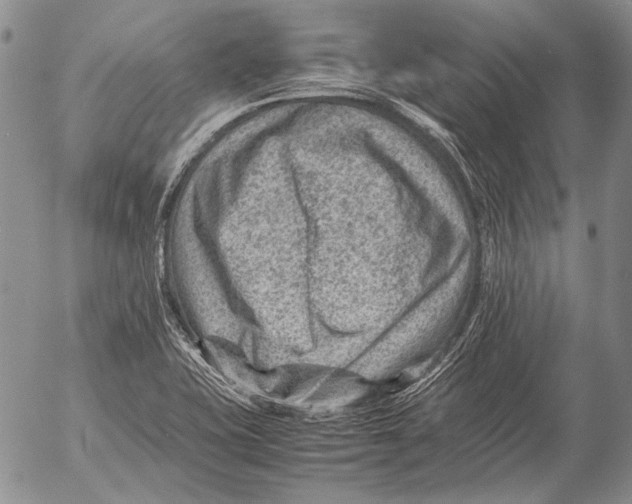 X0000053051415200508081117