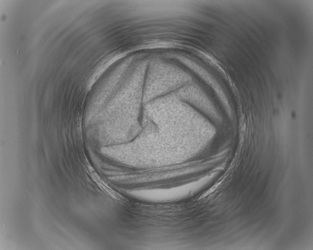 X0000053051417200508081117