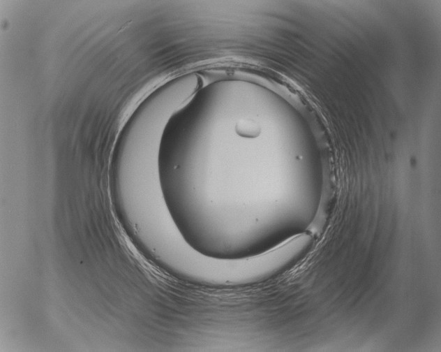 X0000053051418200508081117