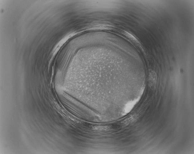 X0000053051419200508081117