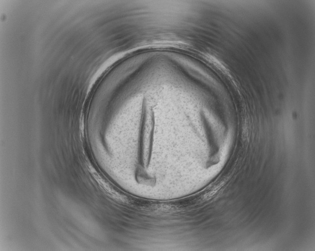 X0000053051420200508081117