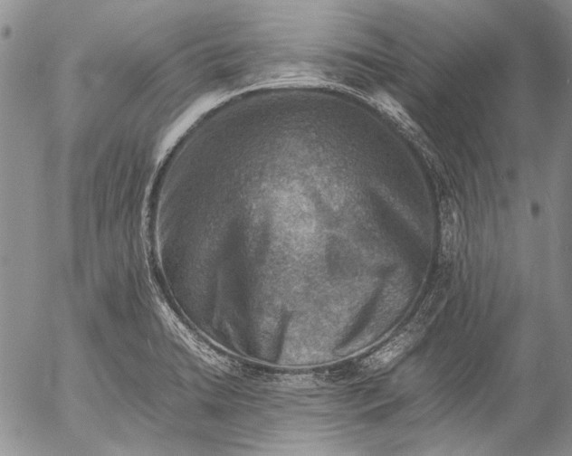 X0000053051422200508081117