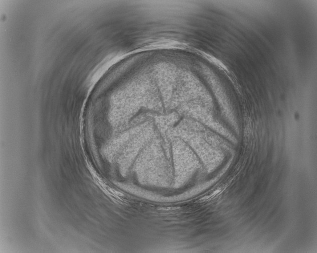 X0000053051423200508081117