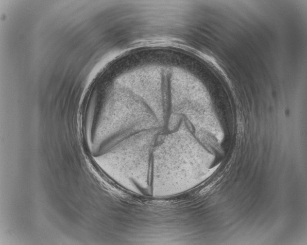 X0000053051424200508081117