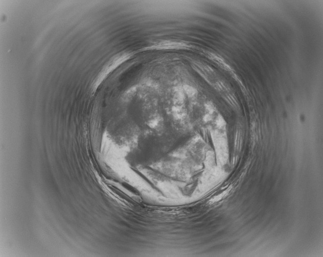 X0000053051425200508081117