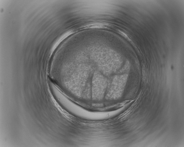 X0000053051426200508081117