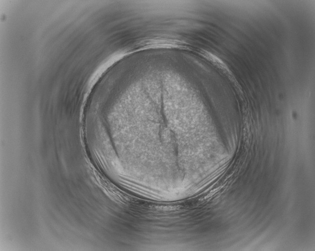 X0000053051427200508081117