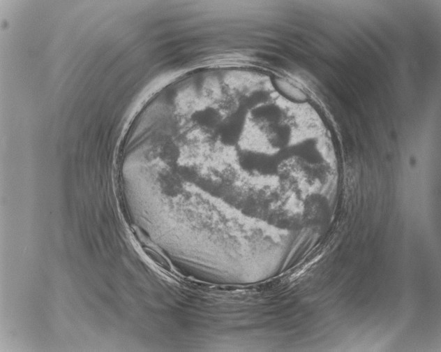 X0000053051429200508081117