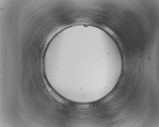 X0000053051431200508081117